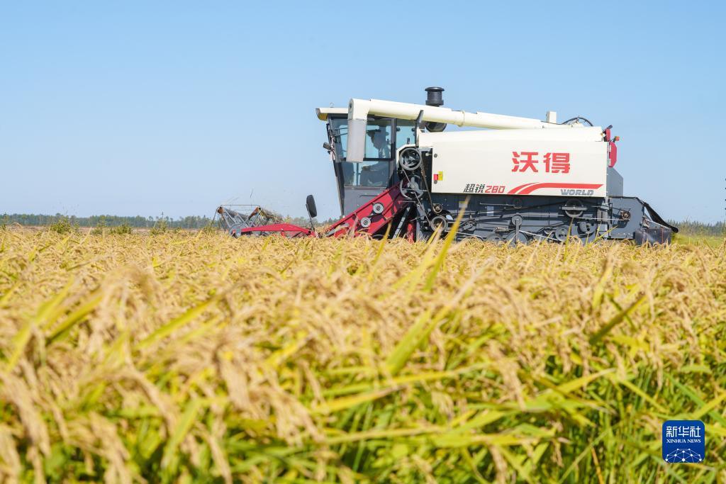 澳门十三第官网